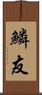 鱗友 Scroll