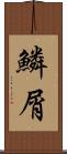 鱗屑 Scroll