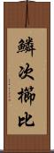 鱗次櫛比 Scroll