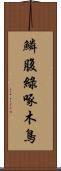 鱗腹綠啄木鳥 Scroll