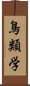 鳥類学 Scroll