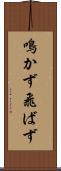 鳴かず飛ばず Scroll