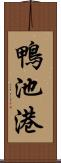 鴨池港 Scroll