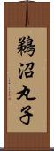 鵜沼丸子 Scroll