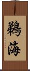 鵜海 Scroll