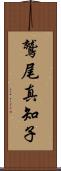 鷲尾真知子 Scroll