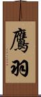鷹羽 Scroll