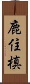 鹿住槙 Scroll