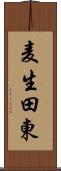 麦生田東 Scroll