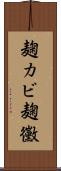 麹カビ Scroll