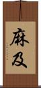 麻及 Scroll