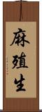 麻殖生 Scroll