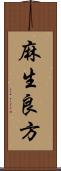 麻生良方 Scroll