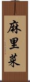 麻里菜 Scroll