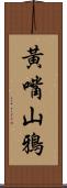 黃嘴山鴉 Scroll