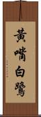 黃嘴白鷺 Scroll