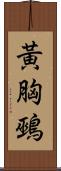 黃胸鵐 Scroll