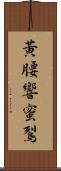 黃腰響蜜鴷 Scroll