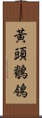 黃頭鶺鴒 Scroll