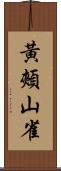 黃頰山雀 Scroll