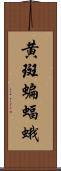 黄斑蝙蝠蛾 Scroll