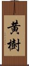 黄樹 Scroll