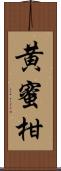 黄蜜柑 Scroll