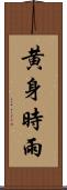 黄身時雨 Scroll