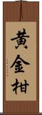 黄金柑 Scroll