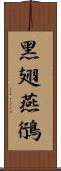 黑翅燕鴴 Scroll