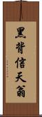 黑背信天翁 Scroll