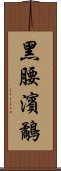 黑腰濱鷸 Scroll