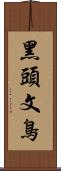 黑頭文鳥 Scroll