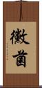黴菌 Scroll