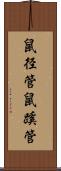 鼠径管 Scroll