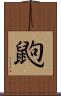 鼩 Scroll