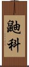 鼬科 Scroll