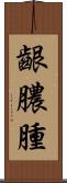 齦膿腫 Scroll