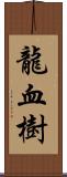 龍血樹 Scroll