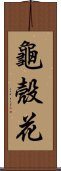 龜殼花 Scroll