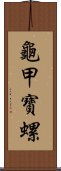 龜甲寶螺 Scroll