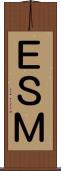 ＥＳＭ Scroll