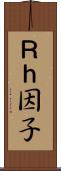 Ｒｈ因子 Scroll