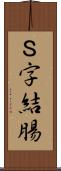 Ｓ字結腸 Scroll