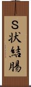 Ｓ状結腸 Scroll