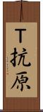 Ｔ抗原 Scroll