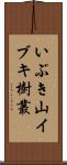 いぶき山イブキ樹叢 Scroll