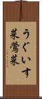 うぐいす菜 Scroll