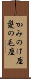 かみのけ座 Scroll