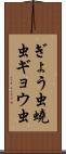 ぎょう虫 Scroll